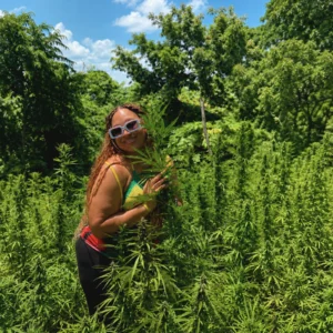 Weed Farm Tour  - Montego Bay