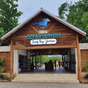 Ocean outpost pass 5 excursions for the price of 1